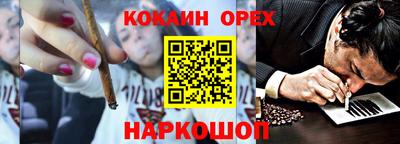 гидра Будённовск