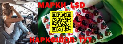гидропоника Бугуруслан