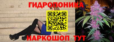 гидра Будённовск