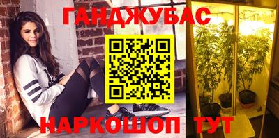 гидра Будённовск
