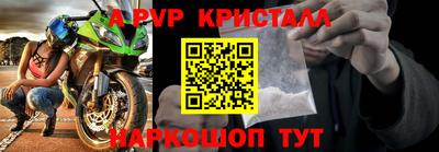 гидра Будённовск